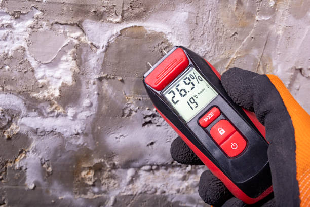 Best Local Mold Removal Service  in Roy, UT