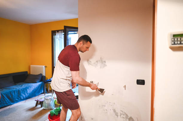 Best Crawl Space Mold Removal  in Roy, UT